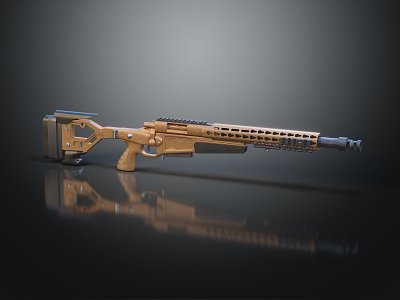 Modern rifle semi-automatic rifle model