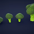 Four Fresh Broccoli Arranged From Large To Small On Dark Blue Background