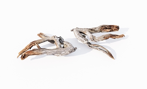 modern dead wood dead branches 3d model