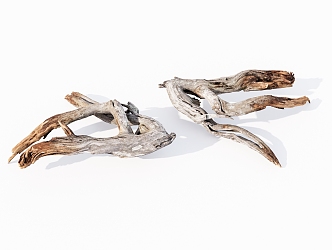 modern dead wood dead branches 3d model