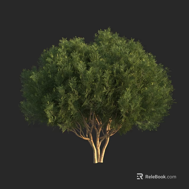 Lush Green Arbor With Multiple Trunks And Vibrant Foliage In Natural Form 3d model 