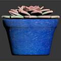 Decorative Succulent Plant in Blue Pot with Pink and Green Petals