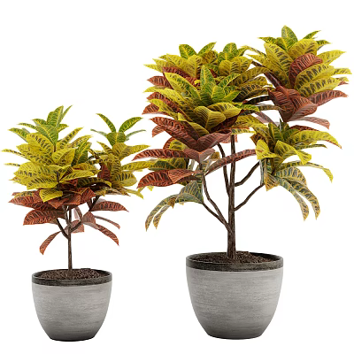 Bonsai Potted Plants With Green And Red Leaves In Gray Pots 3d model