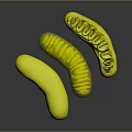Three Vibrant Orange Curved Tubular Structures With Internal Ribbed Design Arranged In Flowing Form