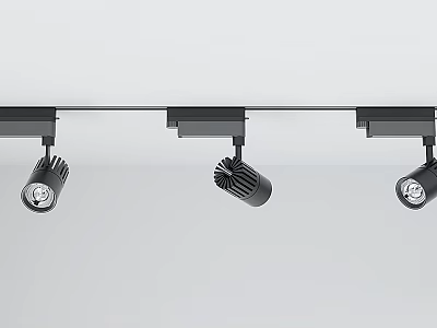 Sleek Black Adjustable Track Mounted Downlights And Spotlights For Modern Interiors 3d model