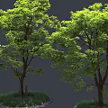 Lush Green Trees with Dense Foliage Brown Trunks Grass and Pebbles Base 3d model