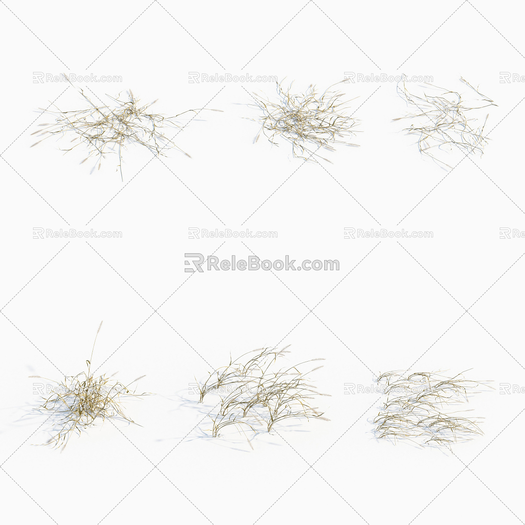 Modern plant dog tail grass weeds 3d model