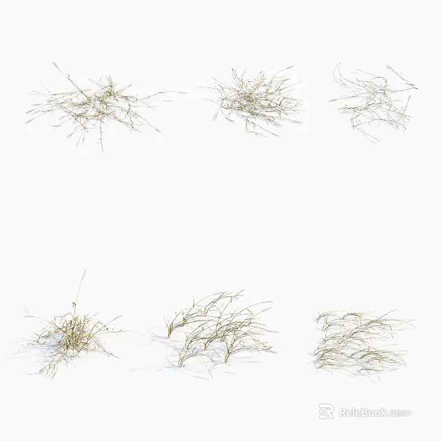 Six Clusters of Dry Grass in Various Shapes Displayed on White Background 3d model 