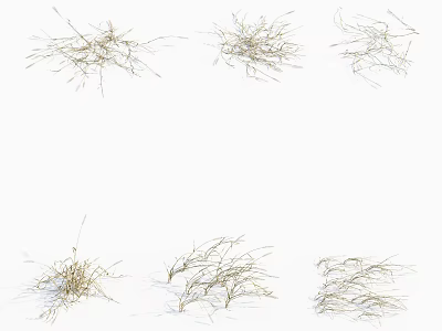 Six Clusters of Dry Grass in Various Shapes Displayed on White Background 3d model