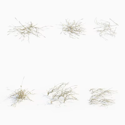 Six Clusters of Dry Grass in Various Shapes Displayed on White Background 3d model Six Clusters of Dry Grass in Various Shapes Displayed on White Background 3d model