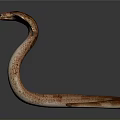 snake cobra venomous snake python reptile cold-blooded animal reptile 3d model