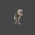 Realistic T Rex Dinosaur Model With Open Mouth And Sharp Teeth 3d model