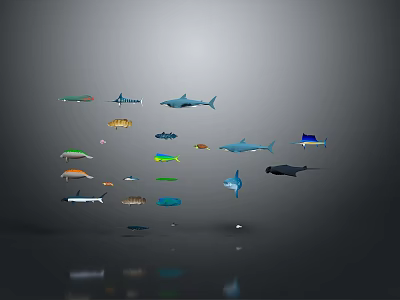 Various Aquatic Animals Including Sharks Tuna Colorful Fish And Small Species 3d model Various Aquatic Animals Including Sharks Tuna Colorful Fish And Small Species 3d model