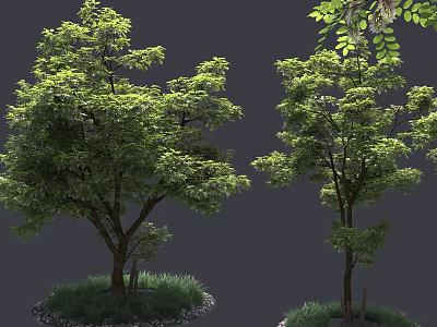Lush Green Arbor Tree With Dense Foliage And Grass Stones Around Trunk 3d model