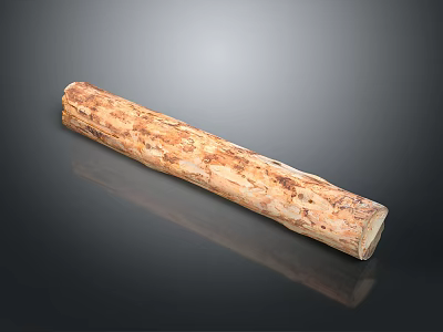 Natural Rustic Wood Stone Long Piece With Unique Surface Texture For Home Decor 3d model