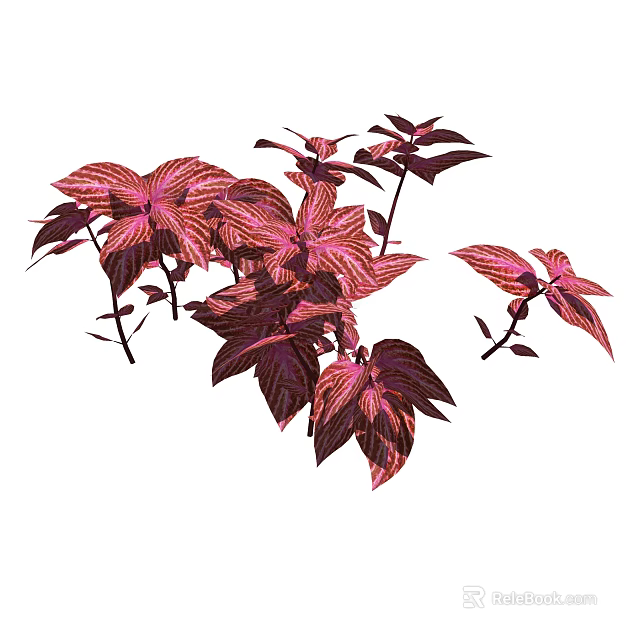 Vibrant Red and Purple Foliage Plants with Colorful Leaves for Home Decor 3d model 