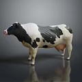 Black and white spotted cow standing on gray background with reflection 3d model