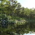 Scenic Lake View With Sunlight Through Trees Mountain Backdrop And Calm Water Reflections