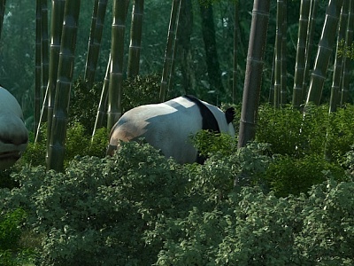 Bamboo Panda Bamboo Sea 3d model