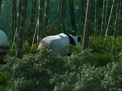 Giant Pandas In A Dense Bamboo Forest With Abundant Greenery 3d model