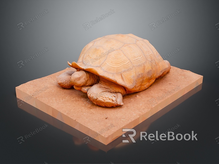 Turtle Turtle Cartoon Turtle Snapping Turtle Chickbill Turtle Reptile Cold Blooded Animal Reptile Reptile Class model