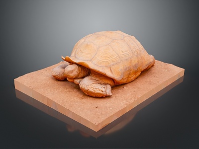 Turtle Cartoon Turtle Snapping Turtle Chickbill Turtle Reptile Cold Blooded Animal Reptile Class model