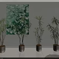 Indoor Bonsai Potted Plants in Gray Pots with Green Abstract Painting Background