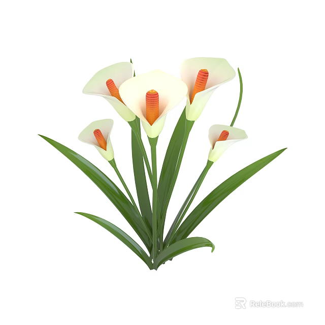 Beautiful Calla Lily Bouquet With White Petals Orange Stamens Green Leaves 3d model 
