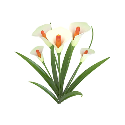 Beautiful Calla Lily Bouquet With White Petals Orange Stamens Green Leaves 3d model