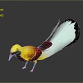 Vibrant Flying Bird With Yellow Head Green Neck Red Body White Black Tail Blue Beak