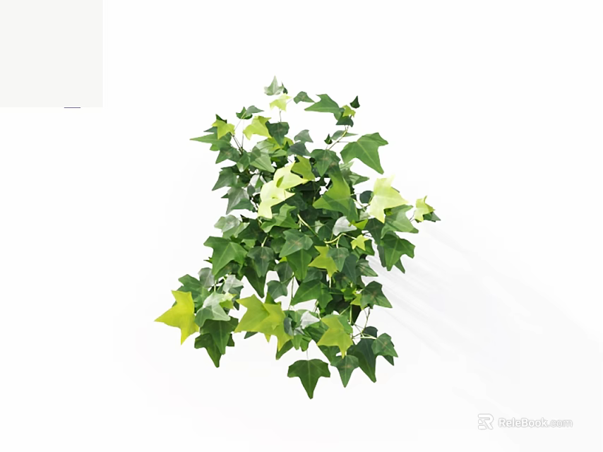 Lush Decorative Vines With Green And Yellow Leaves For Indoor Decoration 3d model 