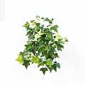 Lush Decorative Vines With Green And Yellow Leaves For Indoor Decoration