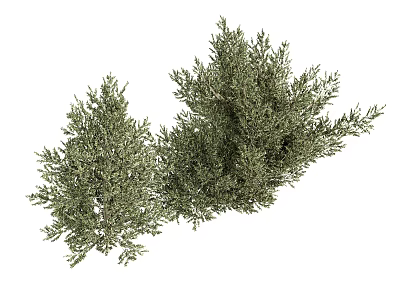Two Lush Green Plants With Fresh Foliage For Natural Decor 3d model