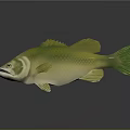 Lifelike Green Yellow Decorative Fish Model For Home Household Decor Accessory