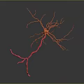 Advanced Medical Device For 3D Neuron Structure Visualization In Neuroscience Research 3d model