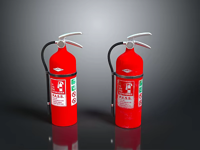 Two Red Fire Extinguishers With Silver Handles And Safety Labels On Black Surface 3d model