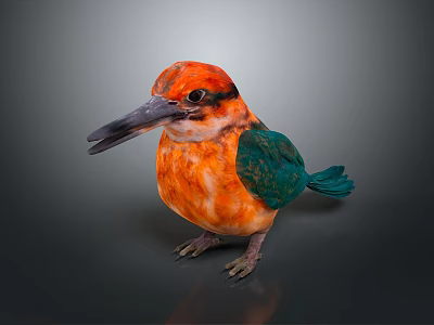 Vibrant Orange And Green Kingfisher Bird With Long Beak Standing On Dark Background 3d model