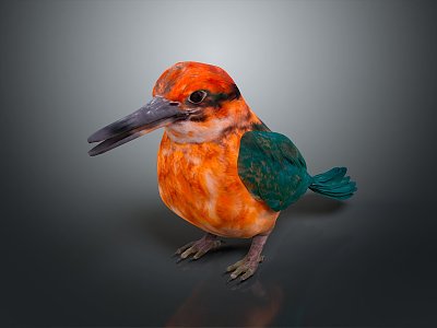 bird game animal cartoon animal realistic animal 3d model