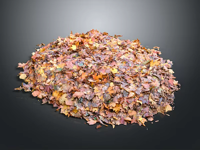 Pile of Colorful Fallen Leaves with Natural Autumn Tones and Textured Surfaces 3d model