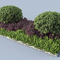 Road Facilities With Round Green Shrubs Purple Low Plants And Stone Slab Edges