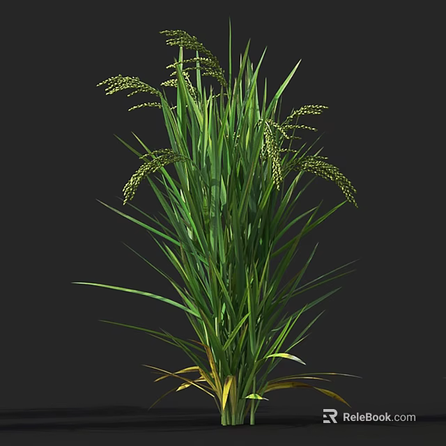 Lush Green Ornamental Grass With Long Leaves And Spikelets For Garden Decor 3d model 