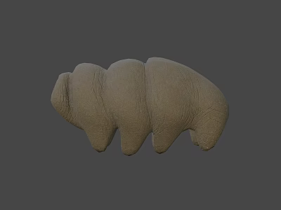 Detailed Brown Textured Segmented Organic Shape 3D Model Digital Rendering 3d model