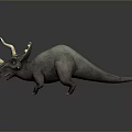 Realistic Triceratops Dinosaur Model With Brown Horns Frill And Gray Body Standing On Dark Background
