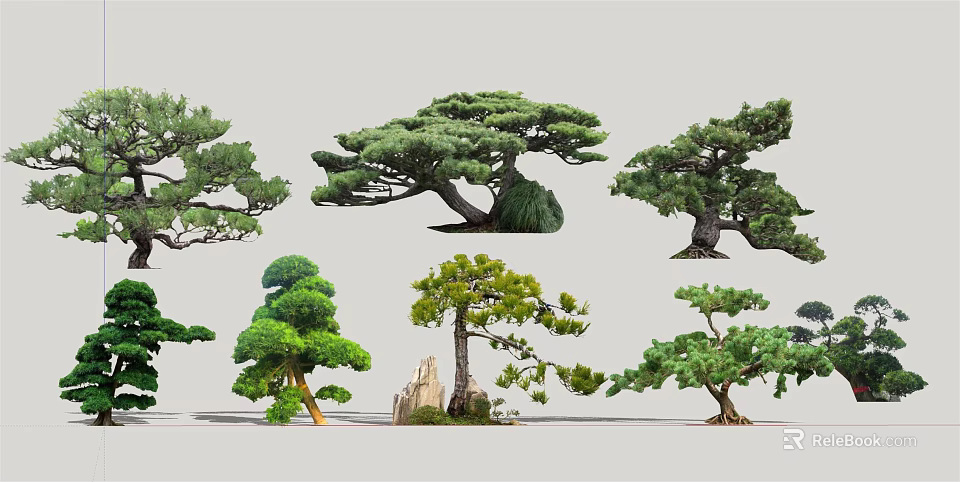Different Types of Lush Arbor Trees with Various Shapes and Rocks 3d model 