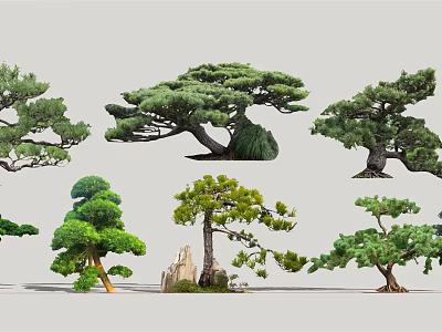 Different Types of Lush Arbor Trees with Various Shapes and Rocks 3d model