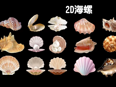 Decorative 2D Conch Pendants Featuring Various Shell Designs For Home Decor 3d model