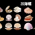 Decorative 2D Conch Pendants Featuring Various Shell Designs For Home Decor 3d model