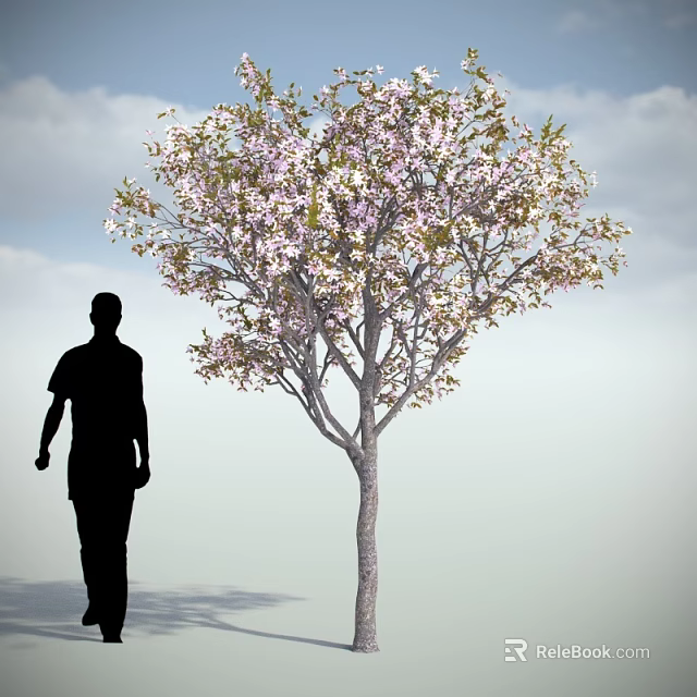 Blooming Flowering Tree With Pink White Blossoms And Person Silhouette Under Blue Sky 3d model 