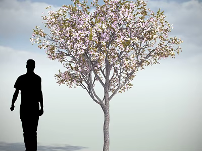 Blooming Flowering Tree With Pink White Blossoms And Person Silhouette Under Blue Sky 3d model