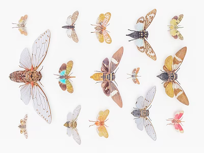 Colorful Flying Animals Various Species with Intricate Wings Display on White Background 3d model